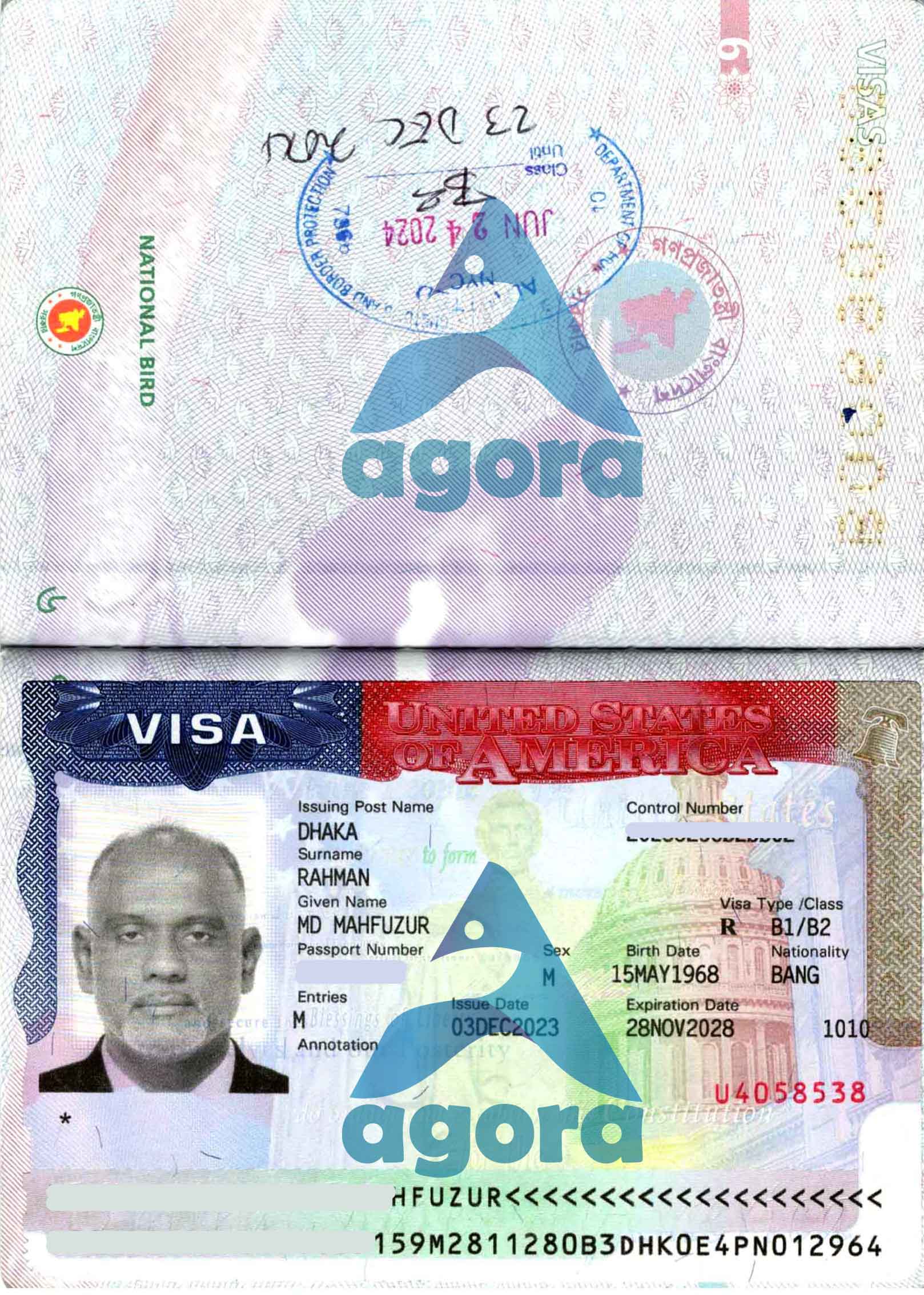 USA Visa Success